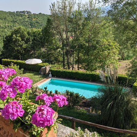 Agriturismo Casentino - Fattoria Ventrina Martina Zewnętrze zdjęcie