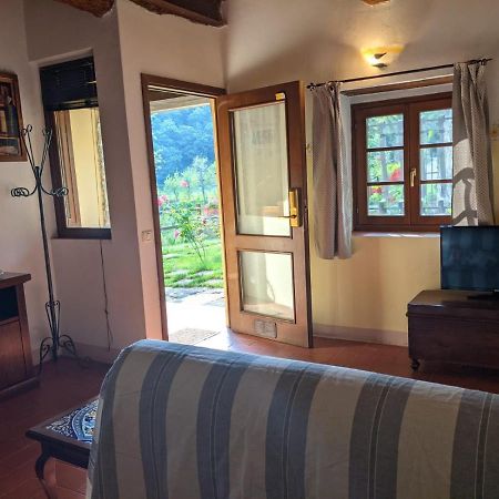 Agriturismo Casentino - Fattoria Ventrina Martina Zewnętrze zdjęcie
