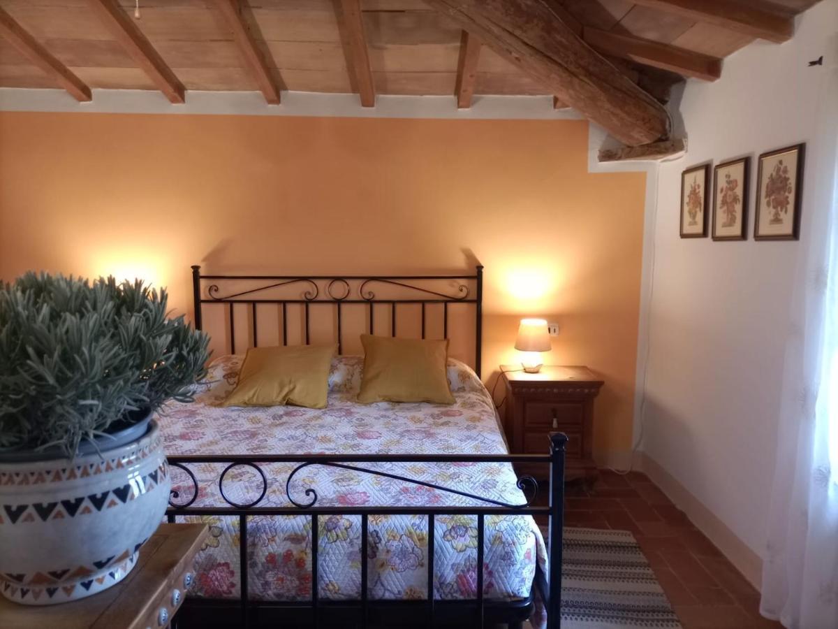 Agriturismo Casentino - Fattoria Ventrina Martina Zewnętrze zdjęcie