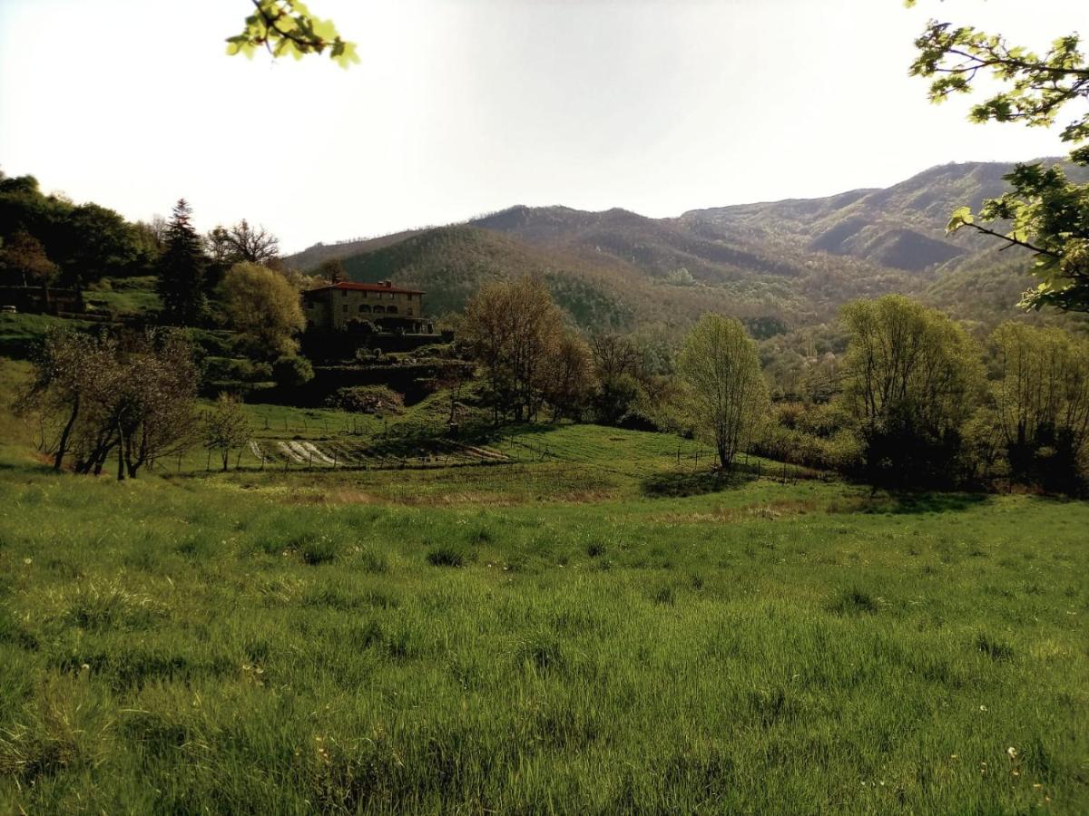 Agriturismo Casentino - Fattoria Ventrina Martina Zewnętrze zdjęcie