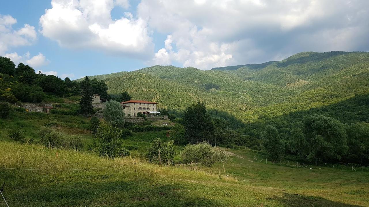 Agriturismo Casentino - Fattoria Ventrina Martina Zewnętrze zdjęcie